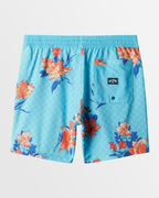 Mens Sundays Layback Boardshorts