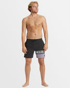Mens Burleigh Layback Boardshorts