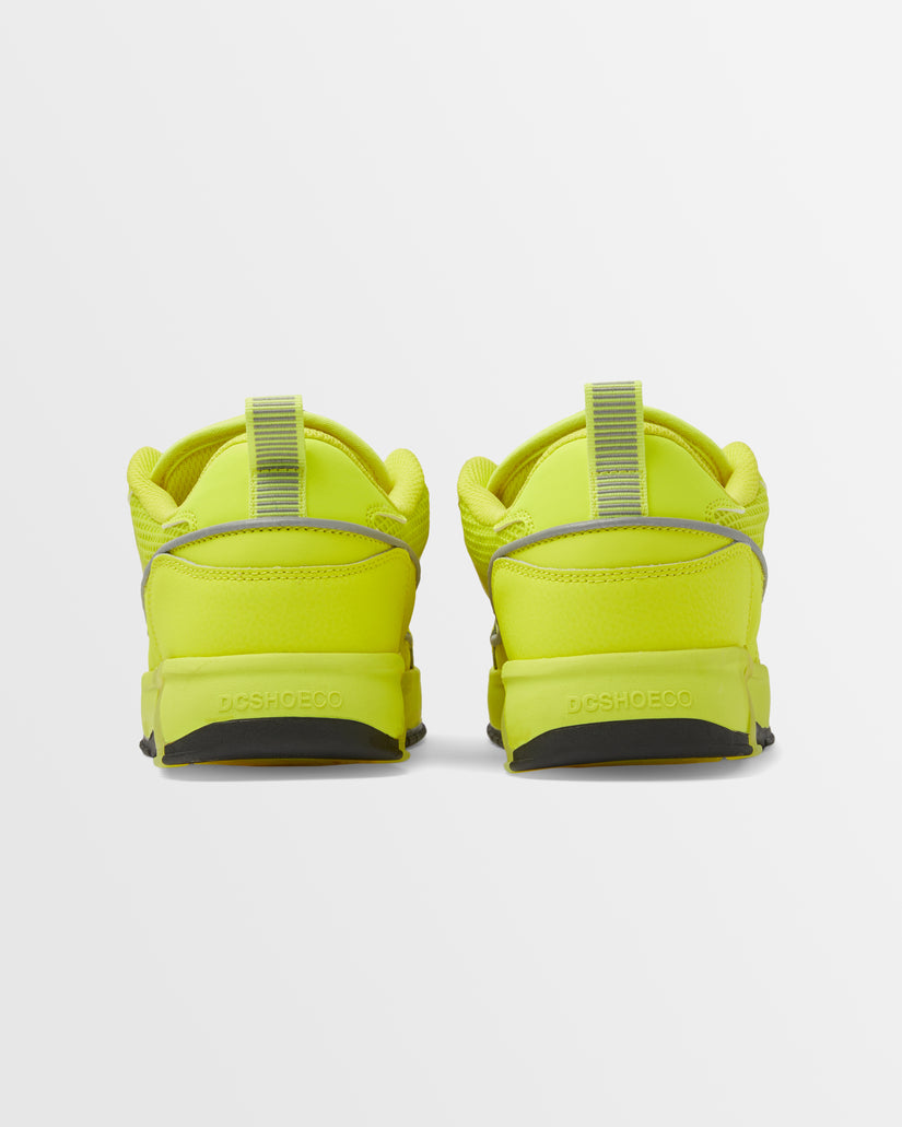 Mens Lucien Skate Shoes