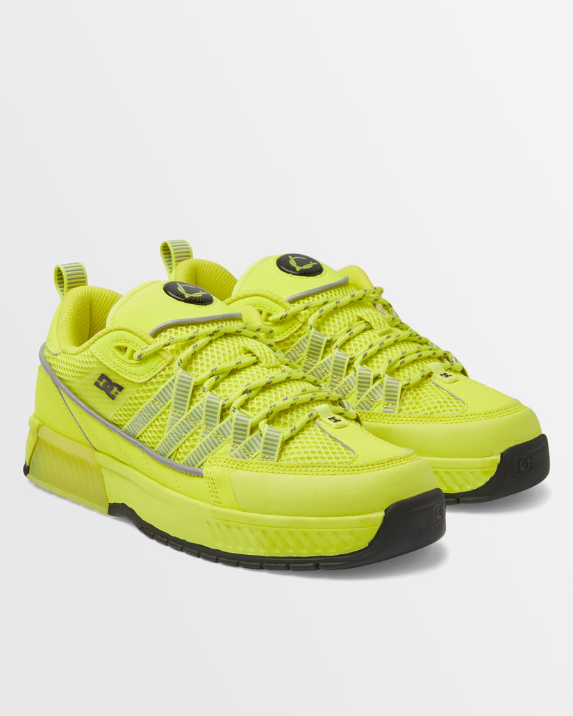 Mens Lucien Skate Shoes