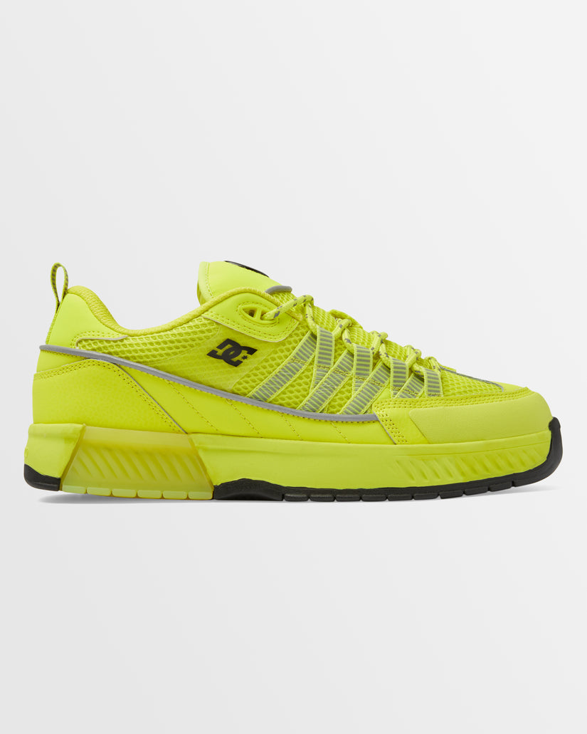 Mens Lucien Skate Shoes