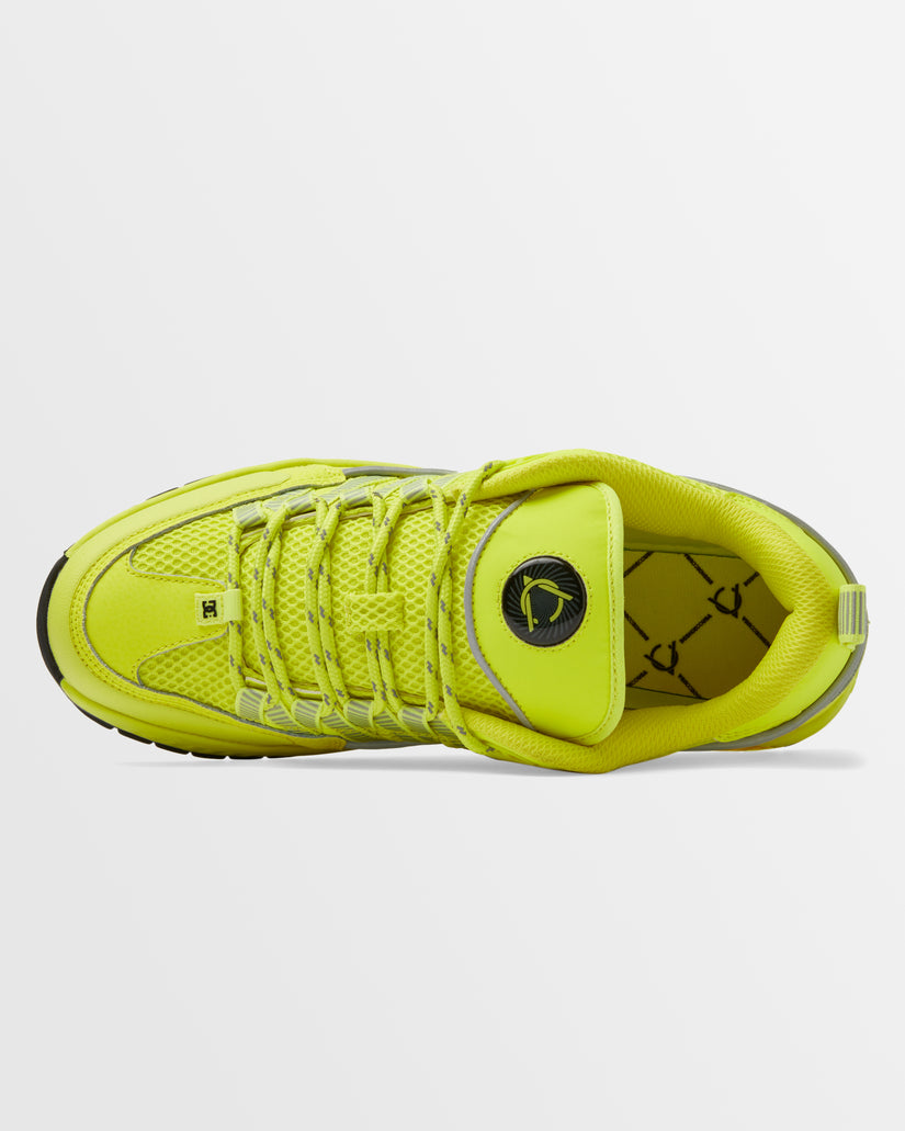 Mens Lucien Skate Shoes