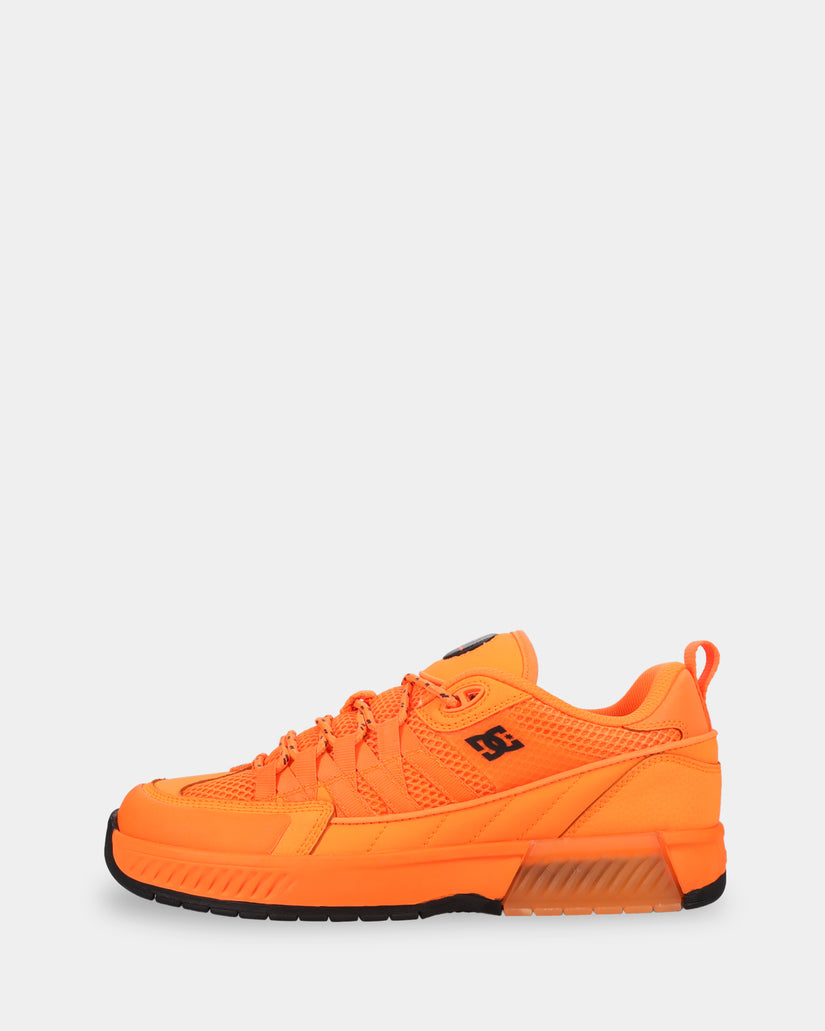 Mens Lucien Skate Shoes