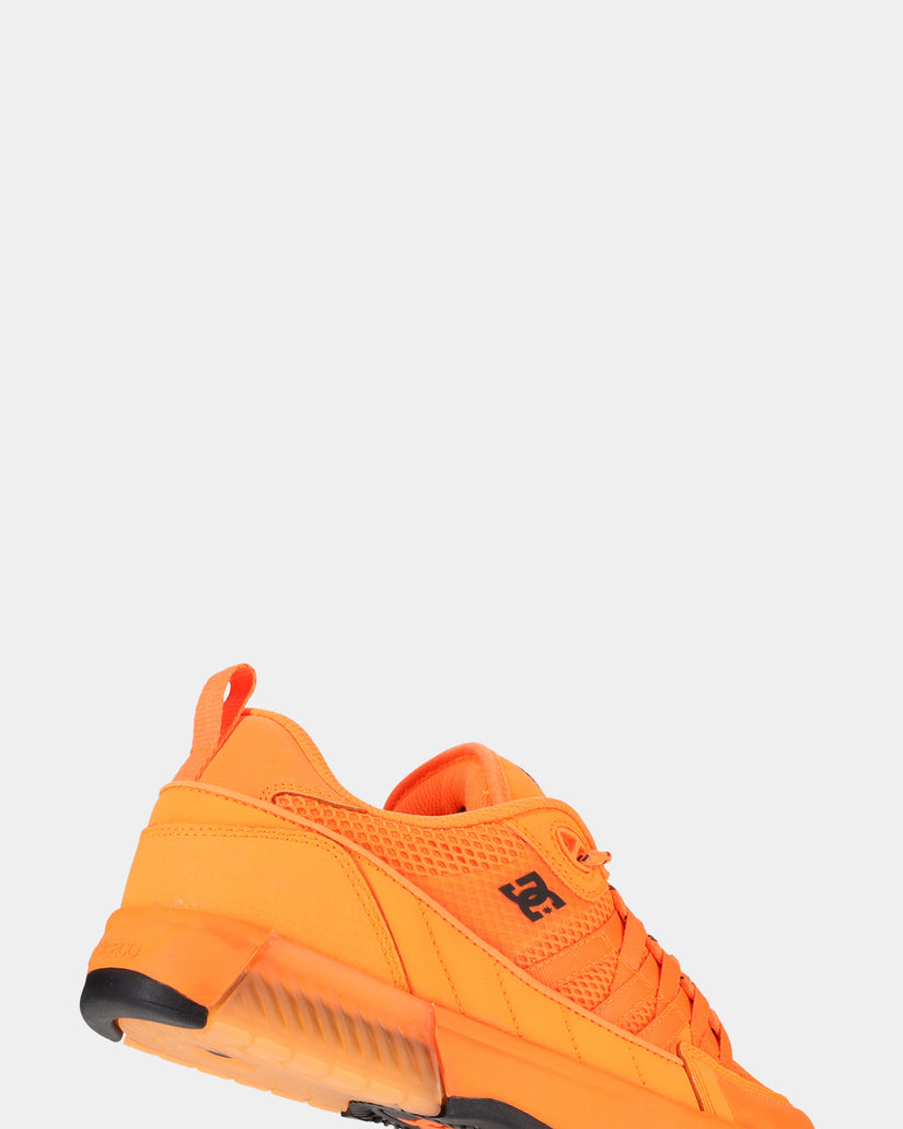 Mens Lucien Skate Shoes
