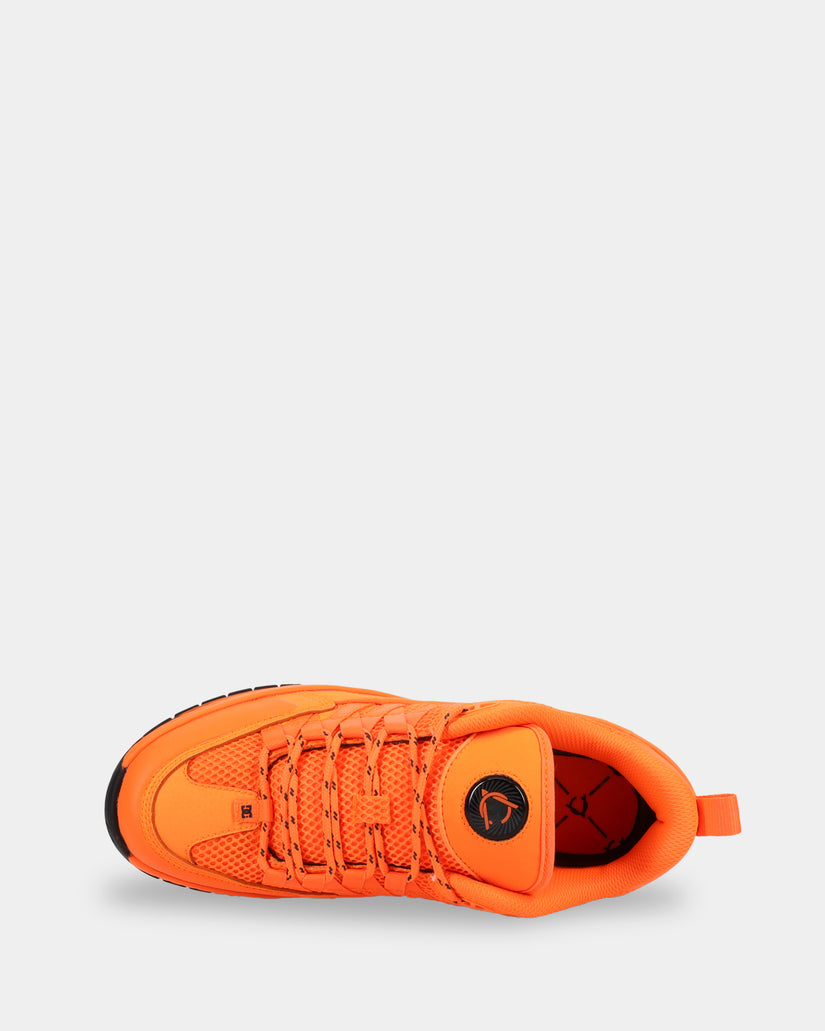 Mens Lucien Skate Shoes
