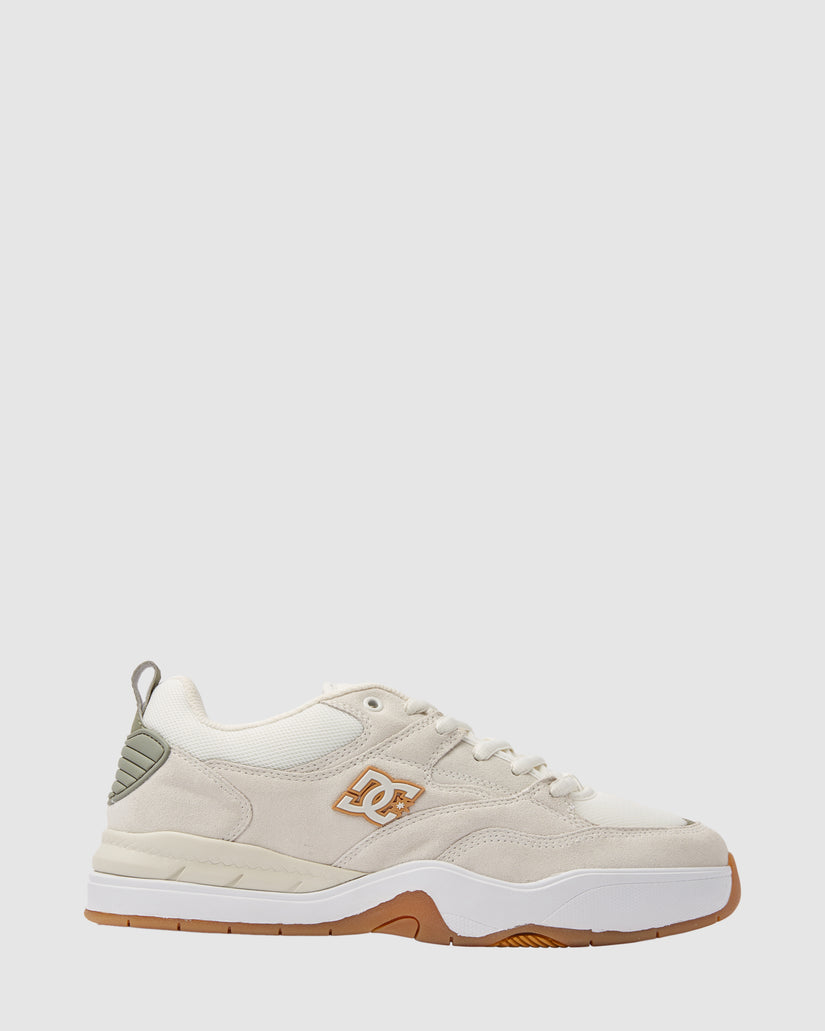 Mens DC Ascend Skate Shoes