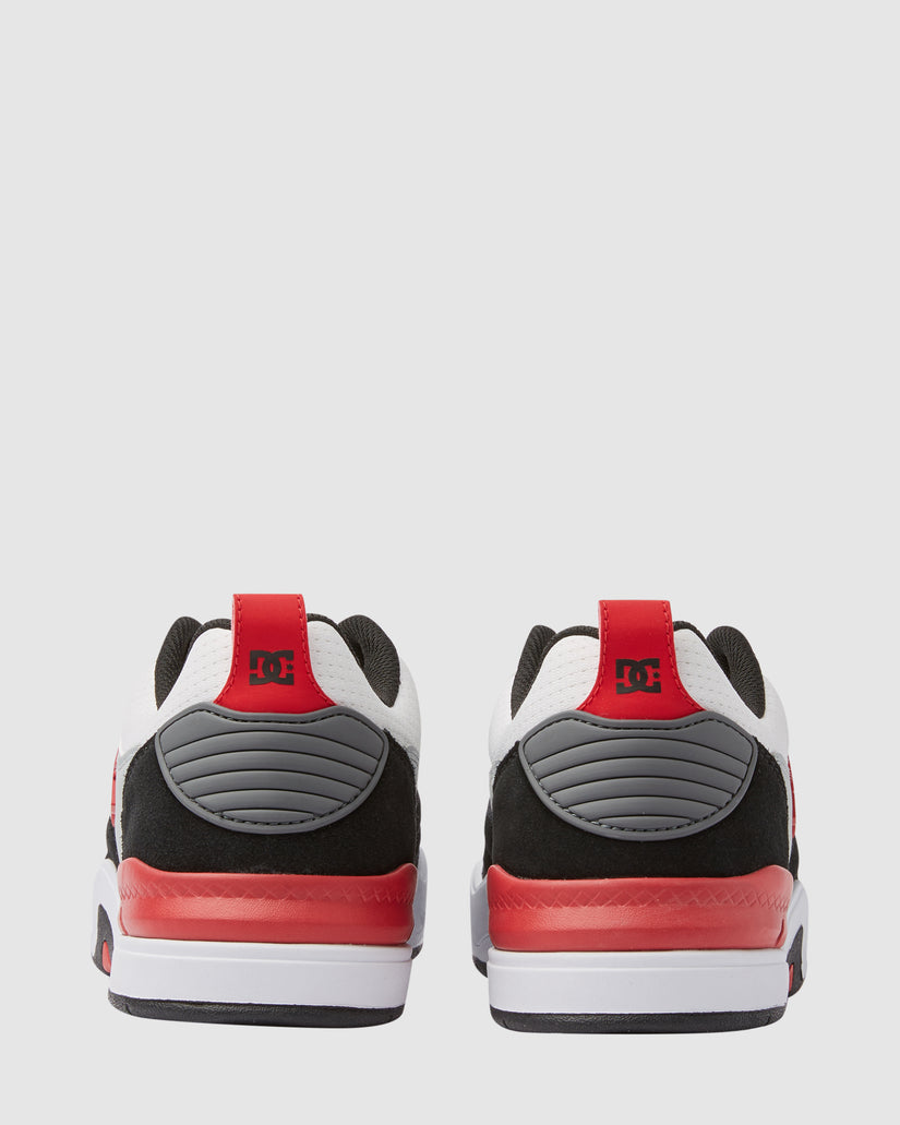 Mens DC Ascend Skate Shoes