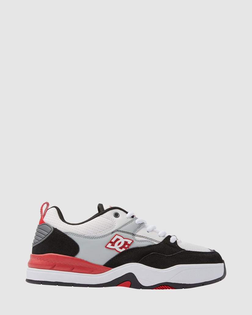 Mens DC Ascend Skate Shoes