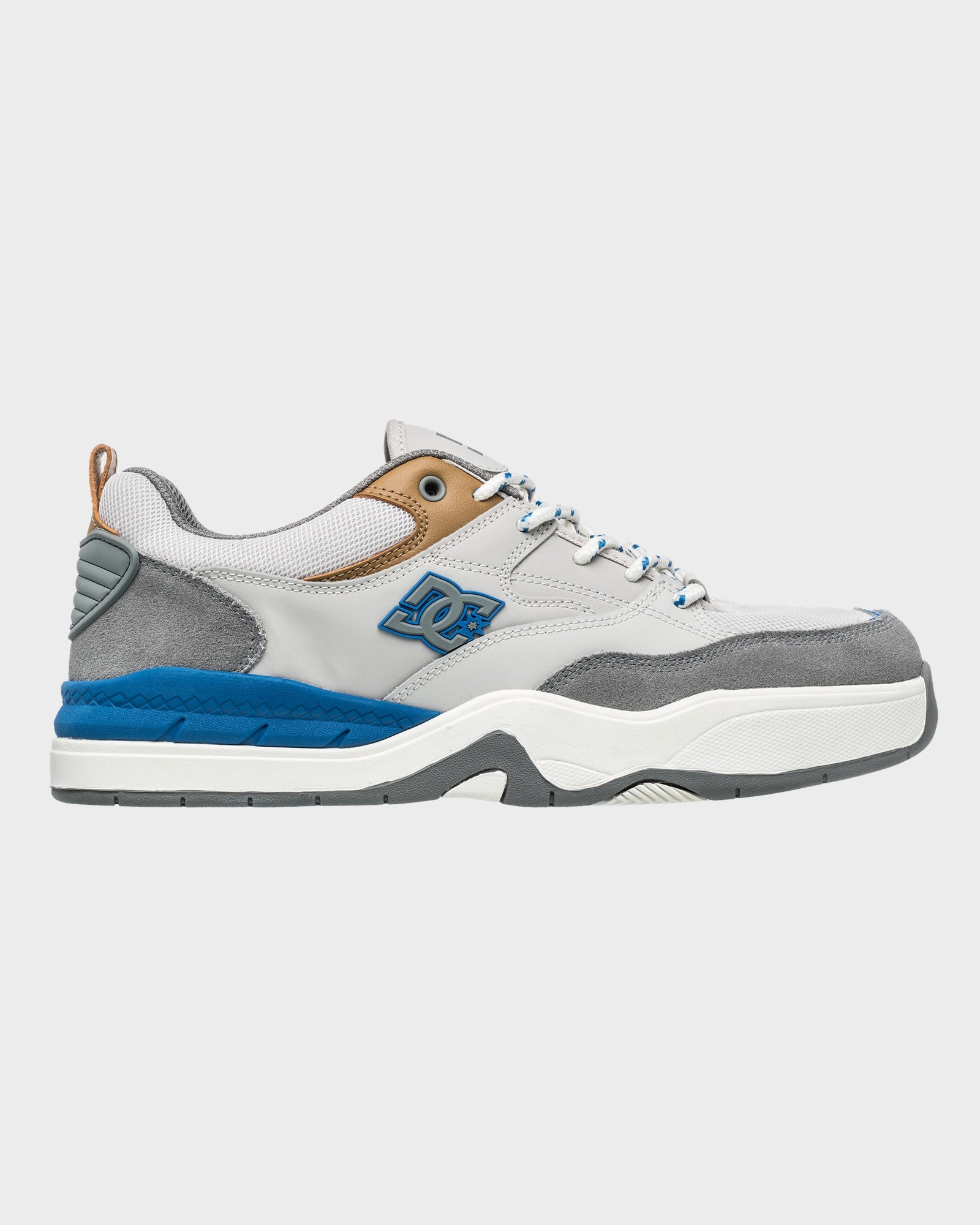 Mens DC Ascend Skate Shoes Australia