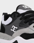 Mens DC Ascend Skate Shoes