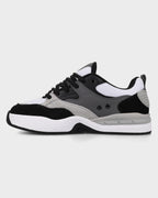 Mens DC Ascend Skate Shoes