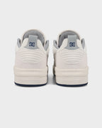 Mens DC Ascend Skate Shoes