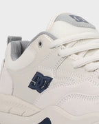 Mens DC Ascend Skate Shoes