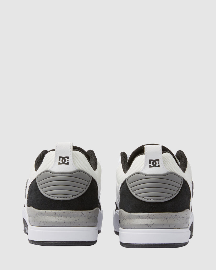 Mens DC Ascend S Skate Shoes