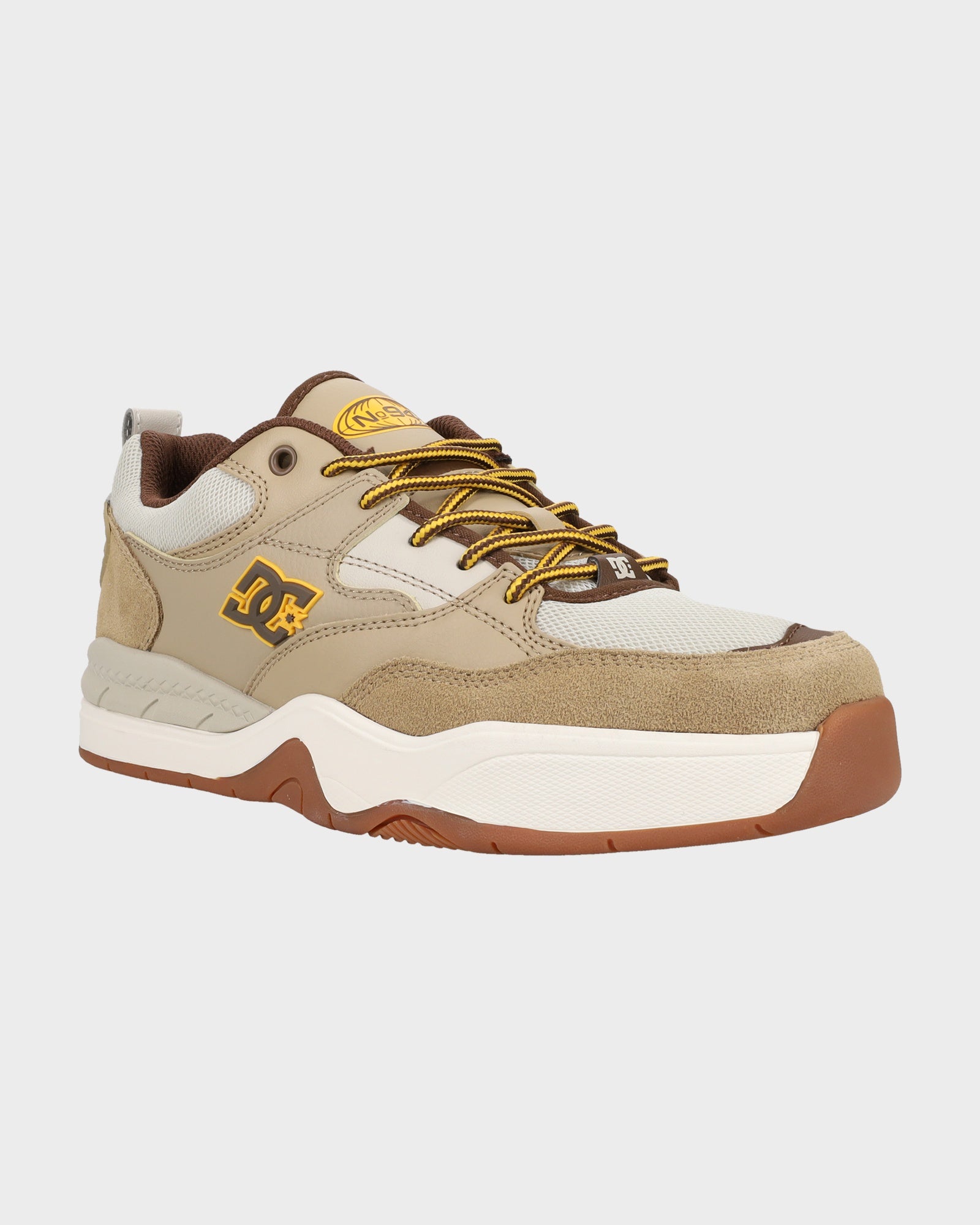 Mens DC Ascend LE Skate Shoes Australia