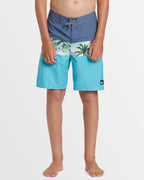 Boys 8-16 Everyday Panel 17" Boardshorts