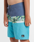 Boys 8-16 Everyday Panel 17" Boardshorts