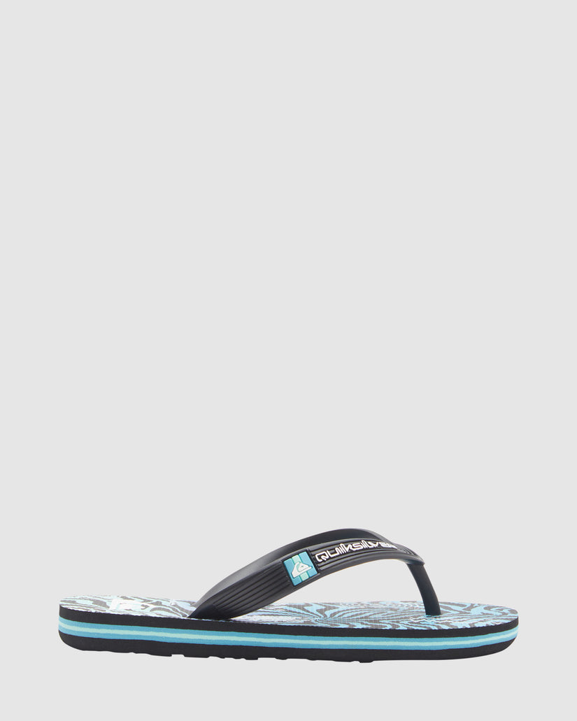 Boys 2-7 Molokai Art Thongs