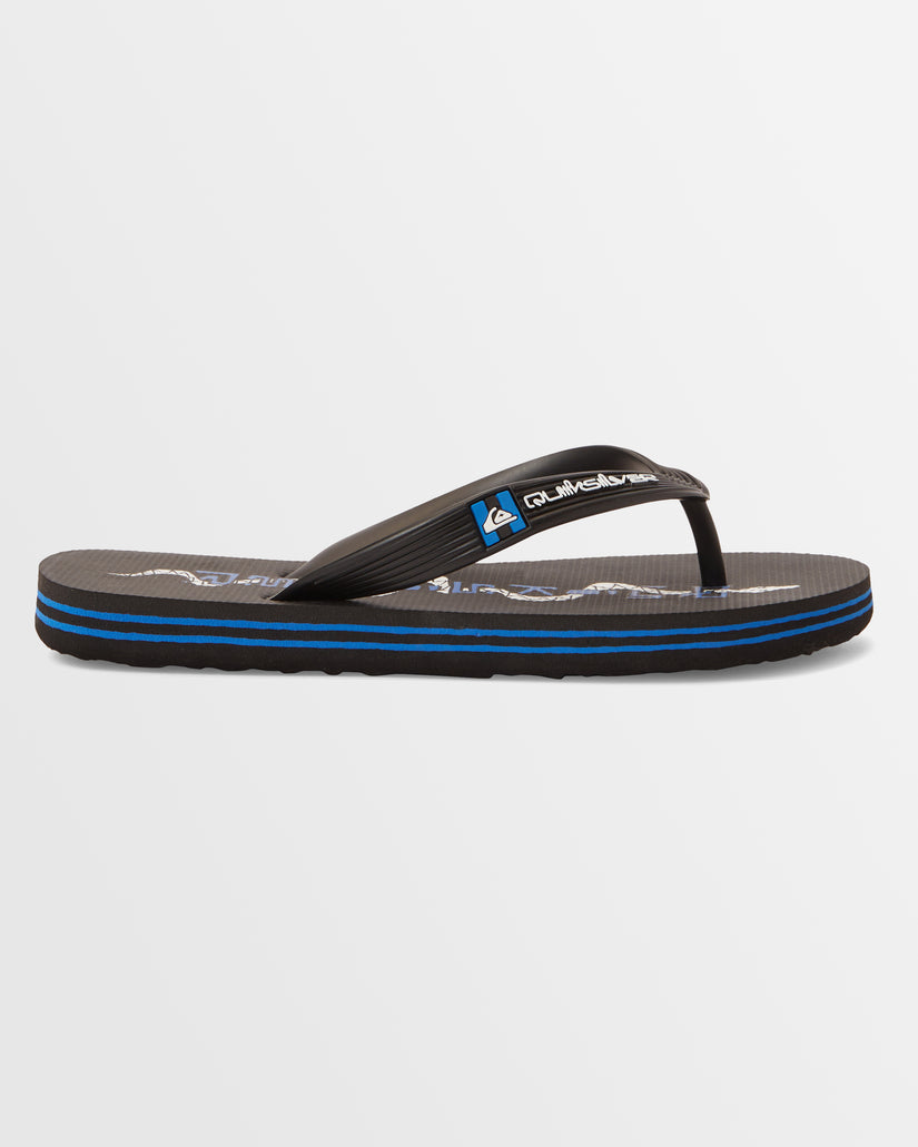 Boys 8-16 Molokai Art Beach Thongs