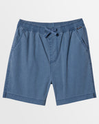 Boys 8-16 Taxer Walkshorts