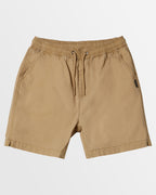 Boys 8-16 Taxer Walkshorts