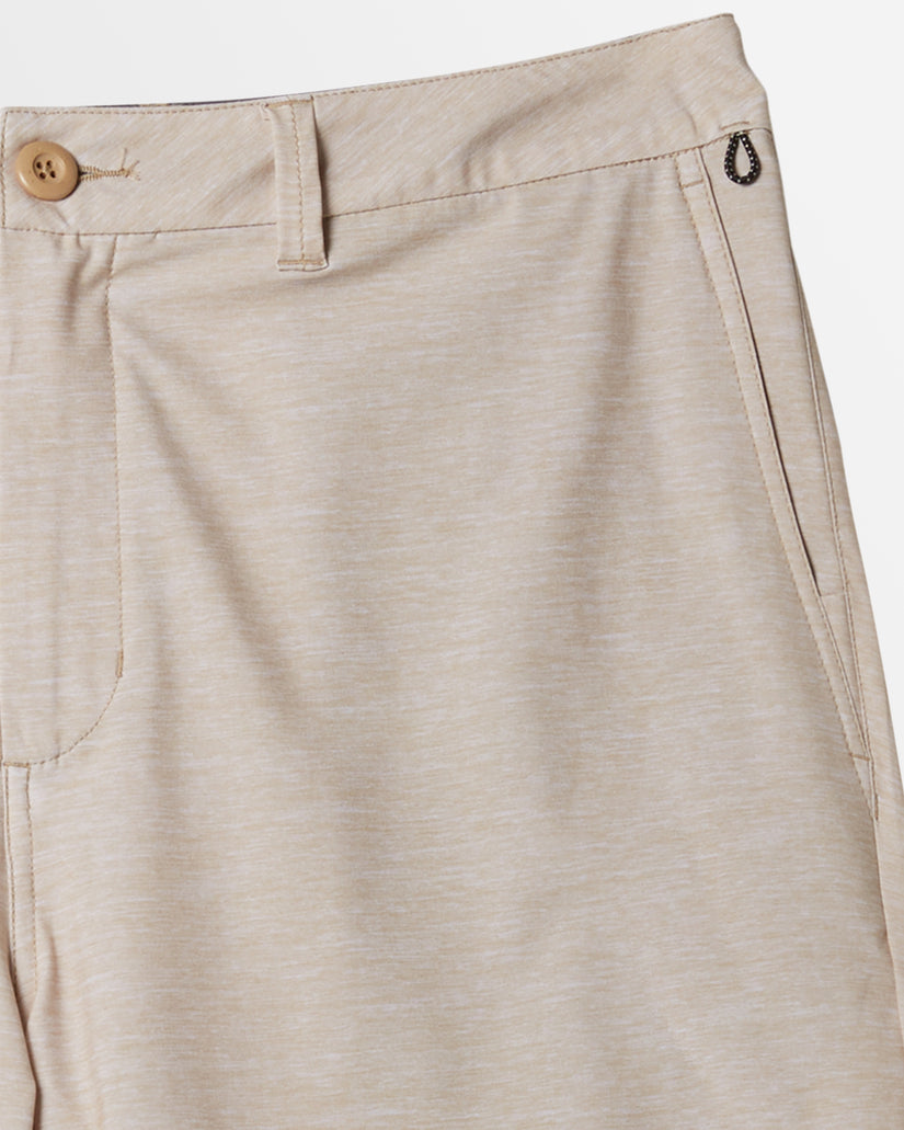Mens Union Heather 19" Amphibian Boardshorts