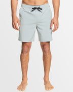 Mens Taxer Amphibian 18" Boardshorts