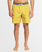 Mens Original Straight 17" Swim Shorts
