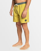 Mens Original Straight 17" Swim Shorts
