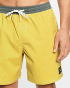 Mens Original Straight 17" Swim Shorts