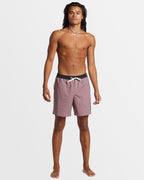 Mens Original Straight 17" Swim Shorts