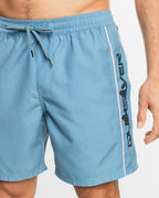 Mens Everyday Vert Volley 17" Swim Shorts