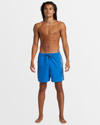 Mens Everyday Vert Volley 17" Swim Shorts