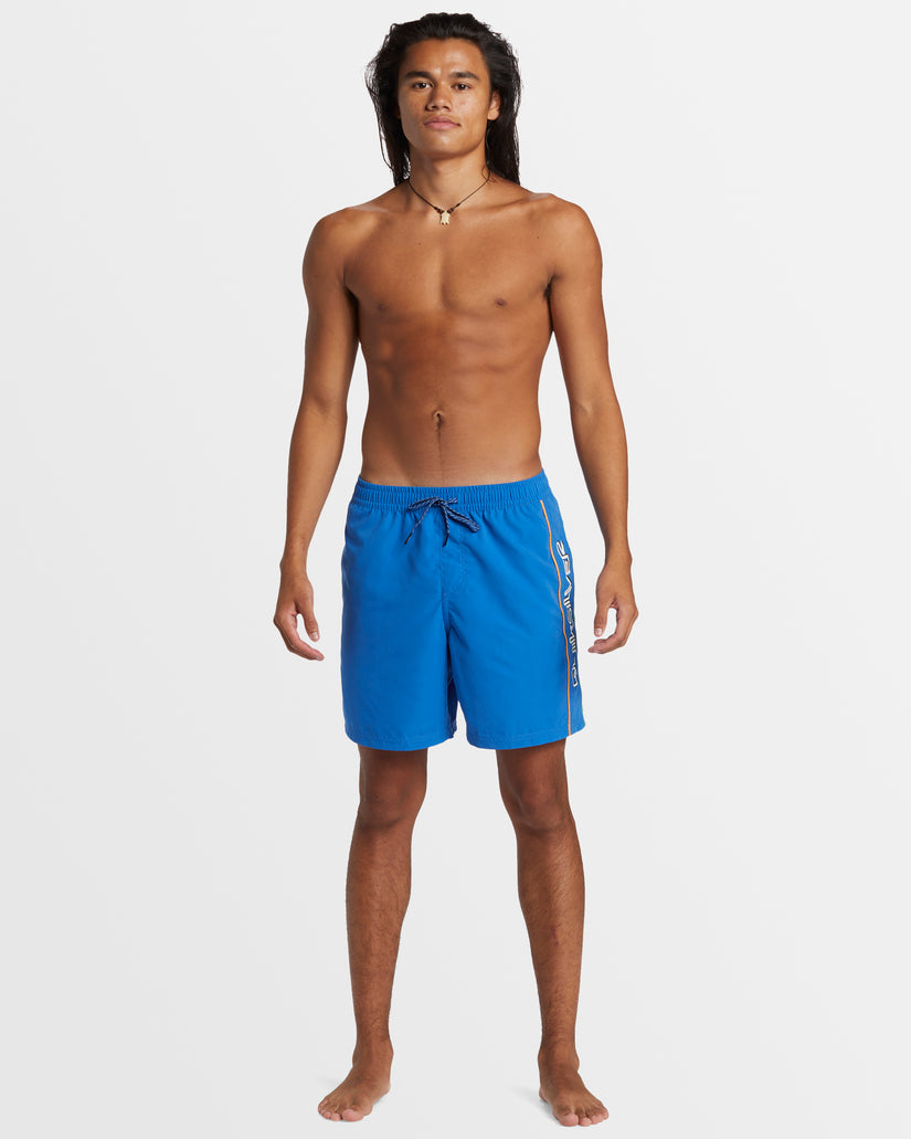 Mens Everyday Vert Volley 17" Swim Shorts