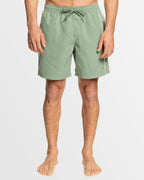 Mens Everyday Vert Volley 17" Swim Shorts