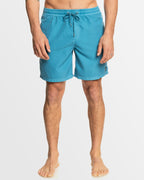 Mens Everyday Surfwash Volley 17" Swim Shorts