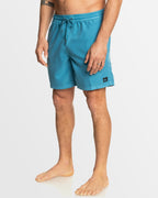Mens Everyday Surfwash Volley 17" Swim Shorts