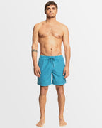 Mens Everyday Surfwash Volley 17" Swim Shorts