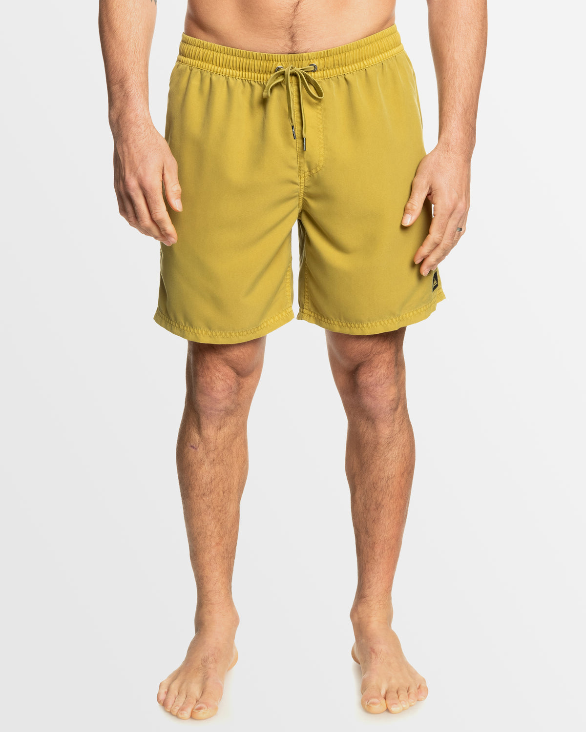 Mens Everyday Surfwash Volley 17" Swim Shorts