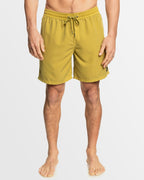 Mens Everyday Surfwash Volley 17" Swim Shorts