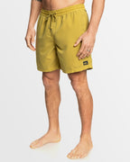 Mens Everyday Surfwash Volley 17" Swim Shorts