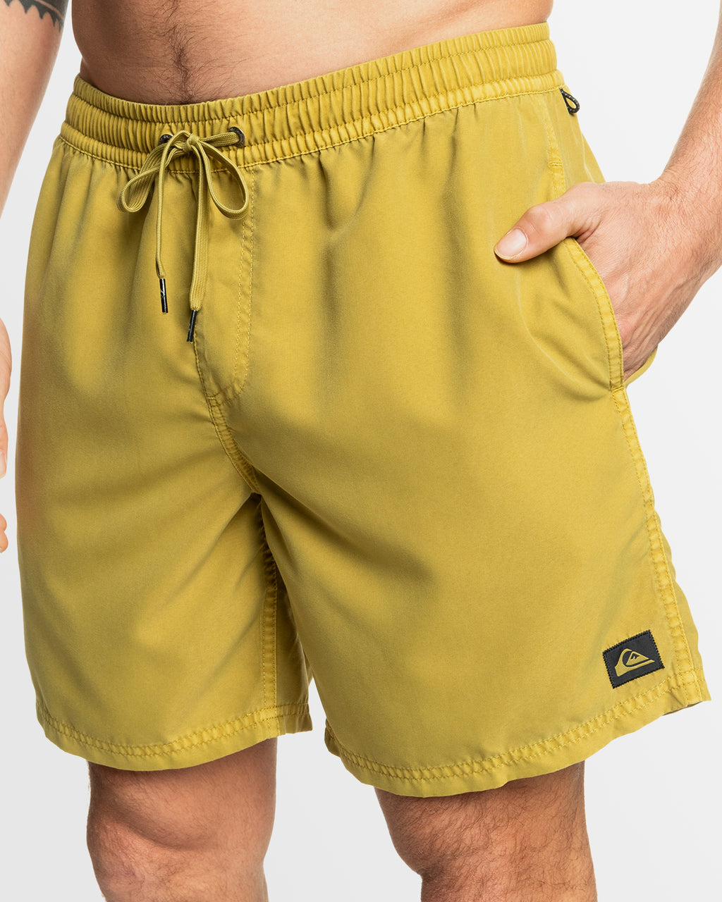 Mens Everyday Surfwash Volley 17" Swim Shorts