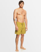 Mens Everyday Surfwash Volley 17" Swim Shorts