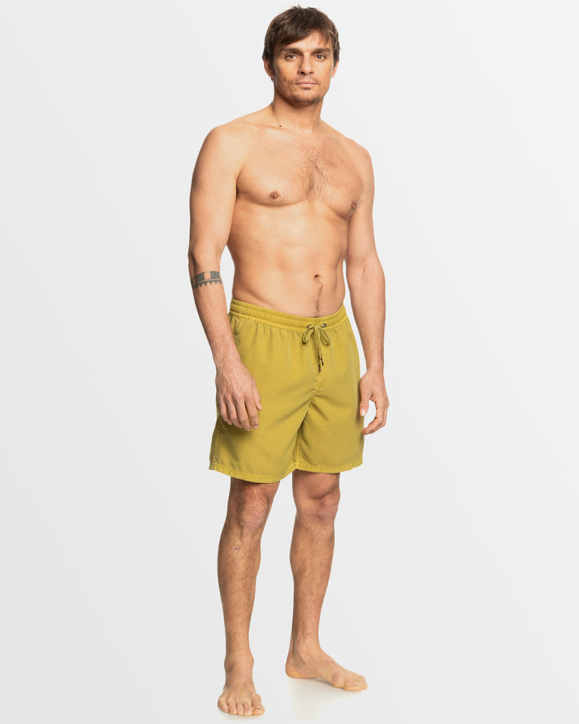 Mens Everyday Surfwash Volley 17" Swim Shorts