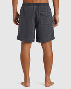Mens Everyday Surfwash Volley 17" Swim Shorts