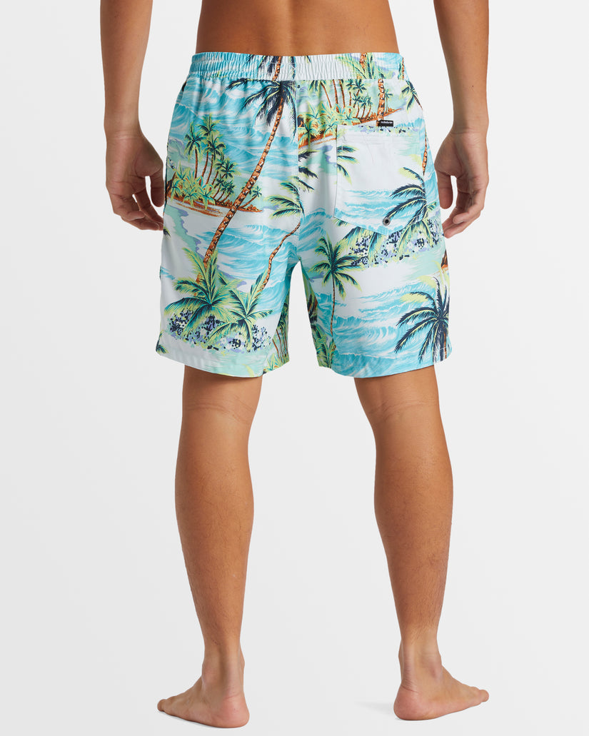 Mens Everyday Mix 17" Swim Shorts