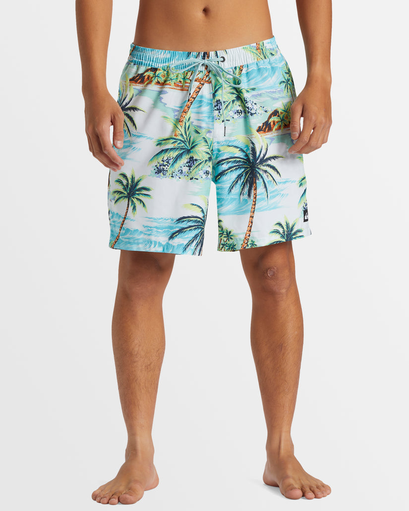 Mens Everyday Mix 17" Swim Shorts
