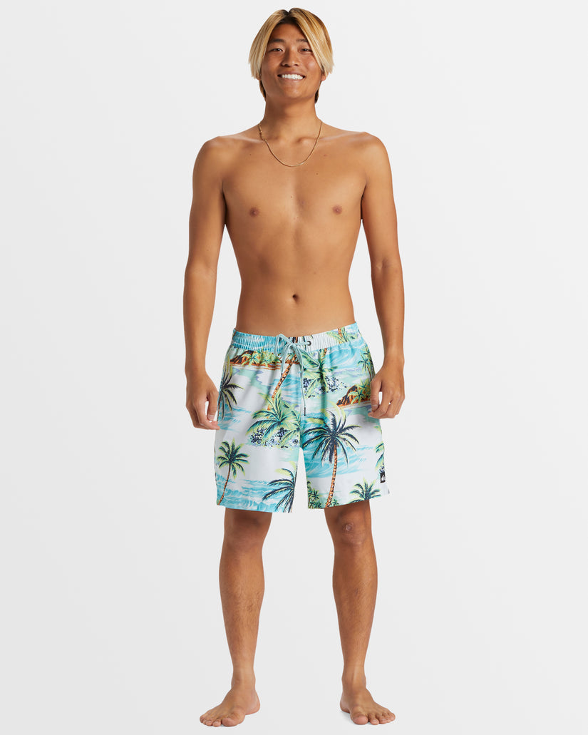 Mens Everyday Mix 17" Swim Shorts