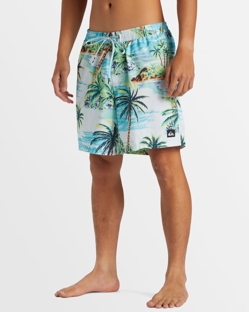 Mens Everyday Mix 17" Swim Shorts