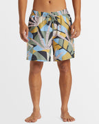 Mens Everyday Mix 17" Swim Shorts